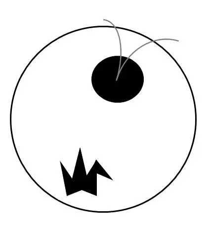 10.webp