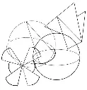 7.webp